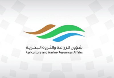 خطة متكاملة لعمل الدوريات البحرية لضبط المخالفات