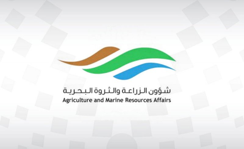 خطة متكاملة لعمل الدوريات البحرية لضبط المخالفات