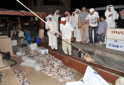 خلف: لا مساحات لفرشات الأسماك ومواقف في مرافىء المحرق