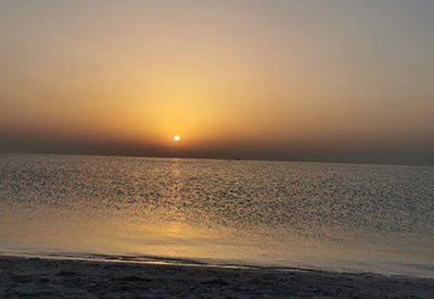"الثروة البحرية": فريق رسمي يزور ساحل نورانا للوقوف على شكاوى وجود تربة طينية