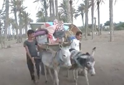 بالفيديو: قصف الحوثيين يجبر عائلات على النزوح في الحديدة