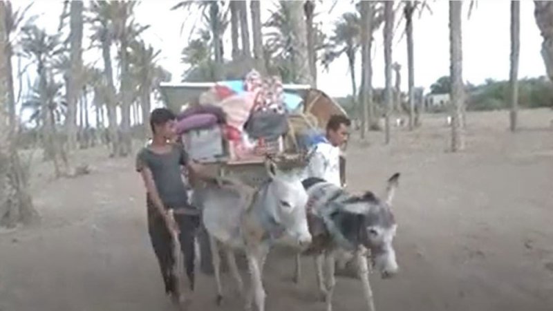 بالفيديو: قصف الحوثيين يجبر عائلات على النزوح في الحديدة