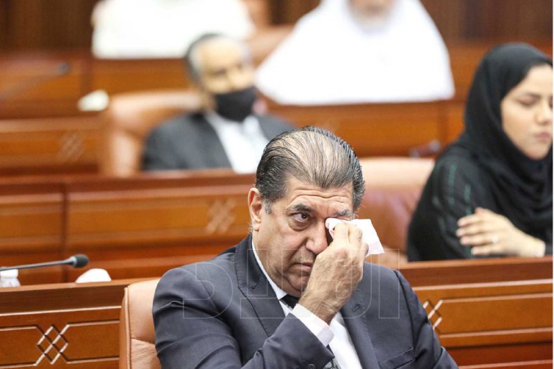 تنويع الاقتصاد