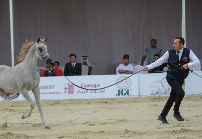 ناصر بن حمد: اهتمام البحرين برياضة جمال الخيل نابعاً من الإرث التاريخي