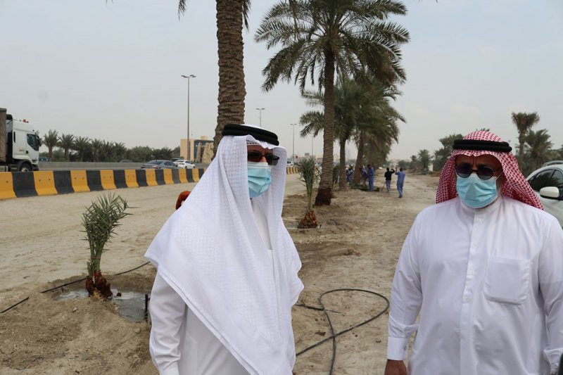 أبوالفتح يزور المجمع الوراثي للنخيل بتوبلي.. ويؤكد استمرار مبادرات الاهتمام بالنخيل
