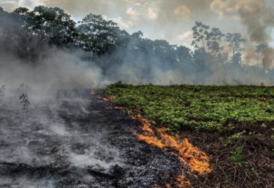 هطول الأمطار يساعد رجال الإطفاء في مكافحة حرائق الغابات في استراليا