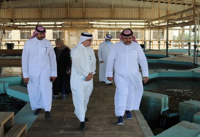 أبوالفتح: الاستزراع السمكي في البحرين مقبلٌ على نقلة نوعية