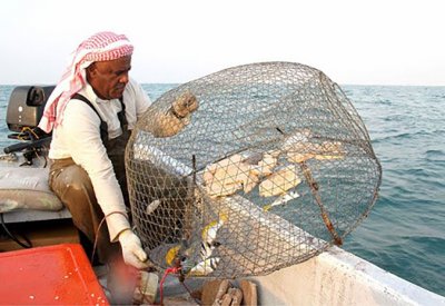 جمعية قلالي للصيادين تؤيد إجراءات وزارة الداخلية لحماية الصيادين البحرينيين من السلوكيات القطرية بالحدود البحرية 