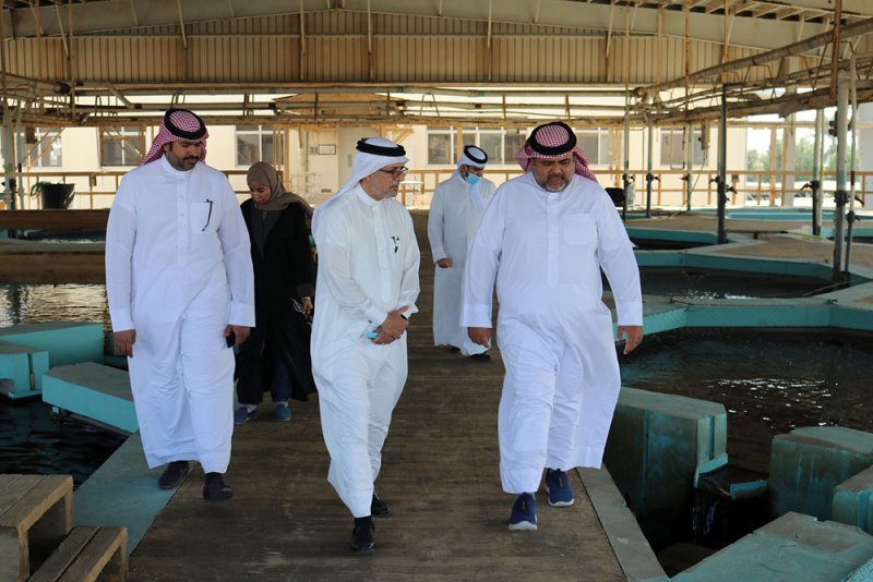 أبوالفتح: الاستزراع السمكي في البحرين مقبلٌ على نقلة نوعية