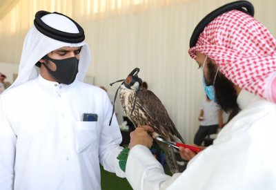 افتتاح موسم ناصر بن حمد للصقور والصيد