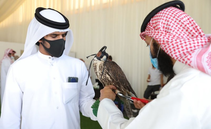 افتتاح موسم ناصر بن حمد للصقور والصيد