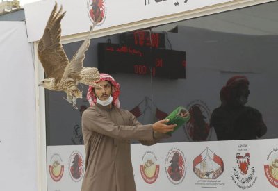 منافسات مثيرة في أشوط المحترفين ضمن بطولة سمو الشيخ خالد بن حمد للصقور