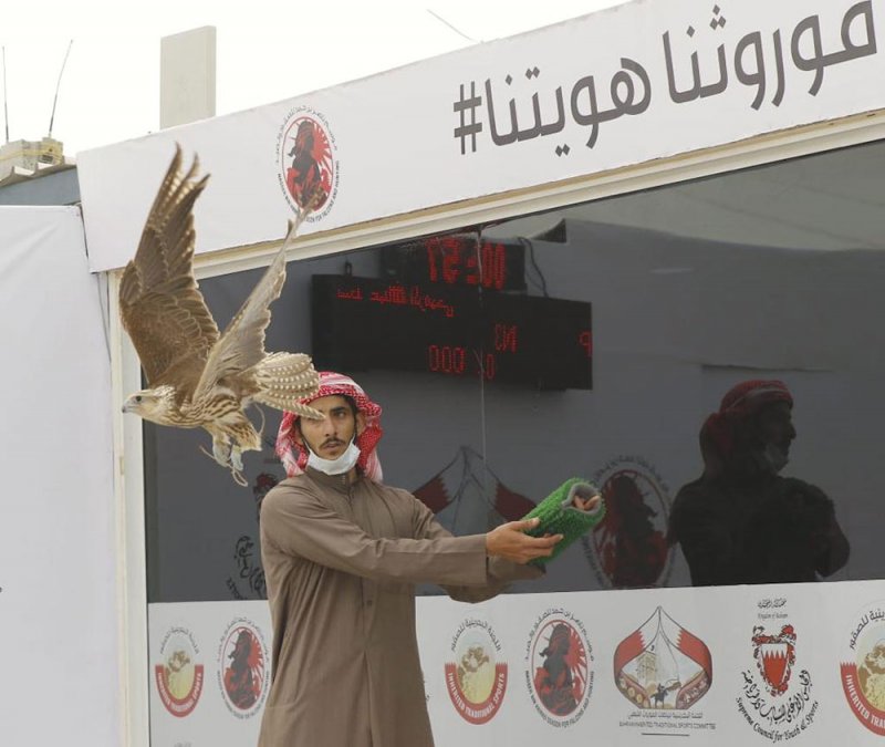 منافسات مثيرة في أشوط المحترفين ضمن بطولة سمو الشيخ خالد بن حمد للصقور