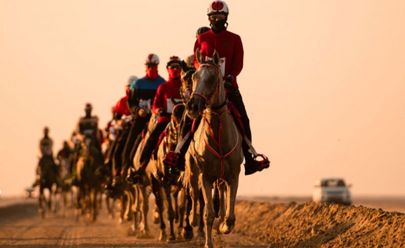 انطلاق السباق العائلي وسباقات بطولة خالد بن حمد للقدرة غدا