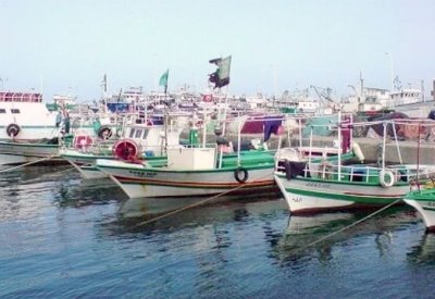 صيادون لـ"البلاد":  سلوك ممنهج لقطر في محاربة البحارة واستهداف الأرواح والأموال