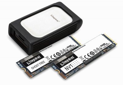 كينغستون تعرض مجموعتها من أقراص الحالة الصلبة NVMe