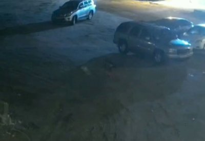 بالفيديو: "لحظة" تنقذ طفلة في الدير من هجوم كلب شرس