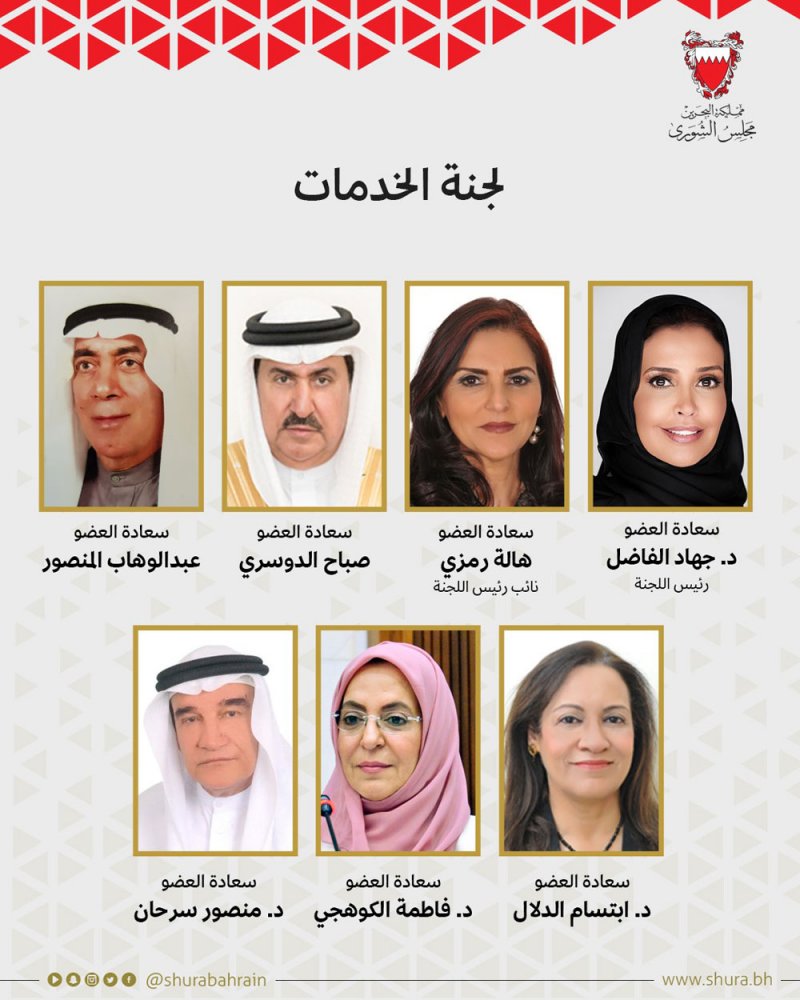 "خدمات الشورى": استمرار زيادة المعاش التقاعدي يعكس حرص الحكومة لتلمس تطلعات المواطنين واستمرار دعمهم