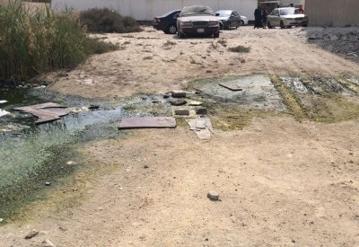 بالصور..أهالي مجمع 557 بالبديع يشكون فيضان المجاري والبعوض