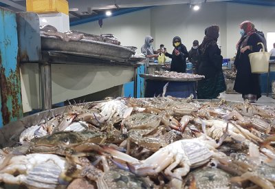 بالفيديو: في ثالث أيام الحظر: الروبيان يباع بـ "الخش"!