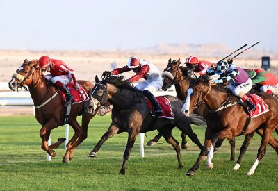 كؤوس آل شريف و" كراون " و" عالي سبرنت " تشعل منافسات الجياد