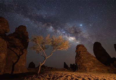 تجارب الشتاء في العلا.. أعظم تحفة عرفها الزمن