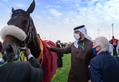بالفيديو: الجياد البحرينية تقارع نخبة العالم بأغلى كأس بالعالم