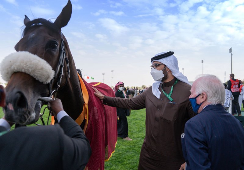 بالفيديو: الجياد البحرينية تقارع نخبة العالم بأغلى كأس بالعالم