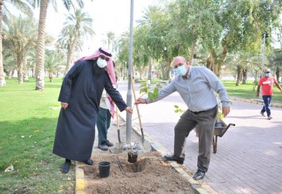 الدوي: 120 شجرة تنضم لحديقة الكازينو