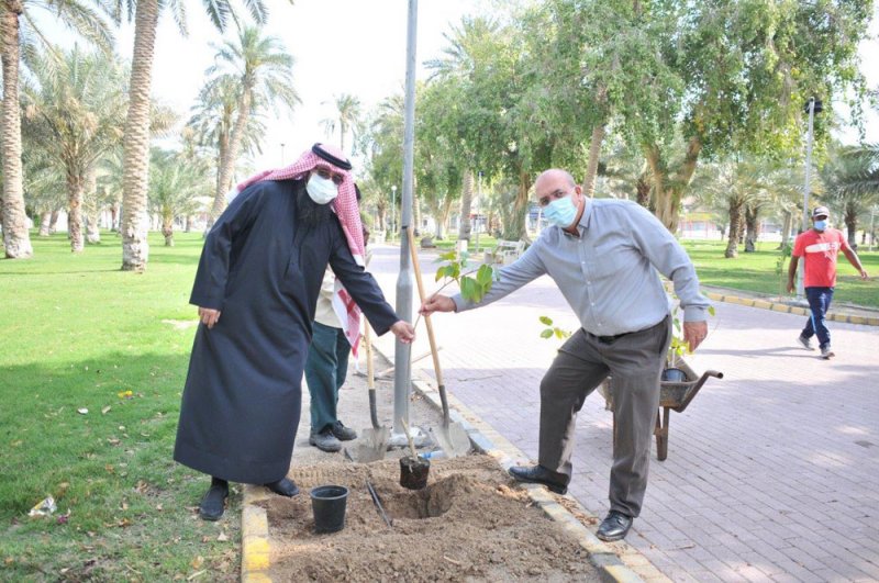 الدوي: 120 شجرة تنضم لحديقة الكازينو