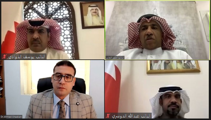 لجنة الشباب توافق على قرار الشورى بشأن الاحتراف الرياضي.. وملاعب رياضية لسابعة الجنوبية