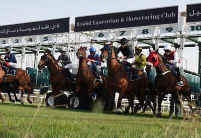 أكبر مشاركة للجياد على كؤوس بنك البحرين والكويت ومصانع تايلوس