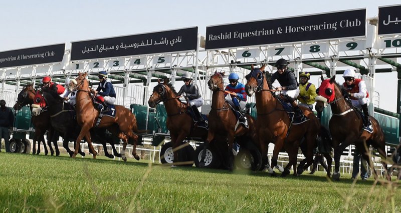 أكبر مشاركة للجياد على كؤوس بنك البحرين والكويت ومصانع تايلوس