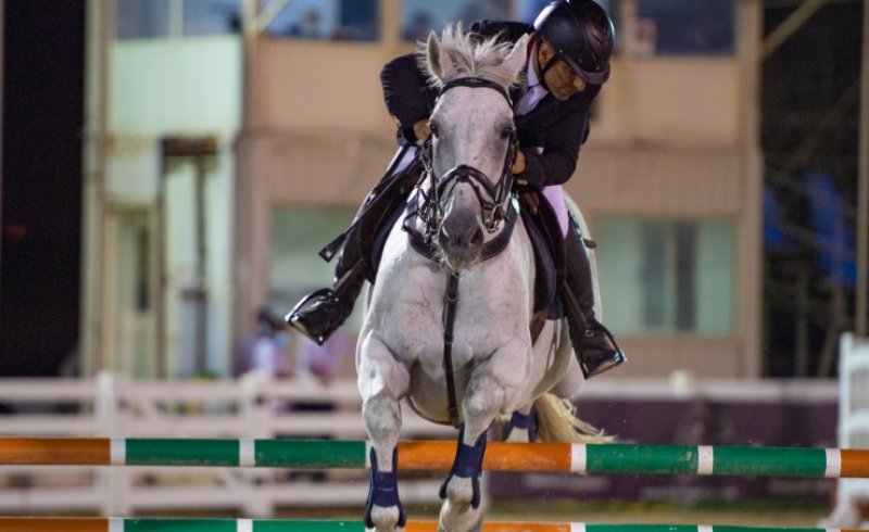 غدا انطلاق بطولة عز الخيل لقفز الحواجز و7 مسابقات مثيرة تنتظر الفرسان