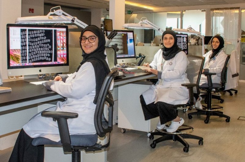 "دانات" ينجح في سد الفجوة بين الجنسين ويرفع نسبة الموظفات إلى 53%