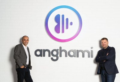 اندماج "أنغامي" مع "فيستاس ميديا أكويزيشن كومباني إنك"