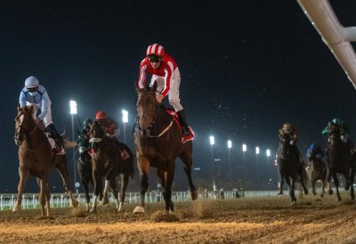ناصر بن حمد: المشاركة البحرينية في كأس دبي العالمي لإبراز وترويج المملكة