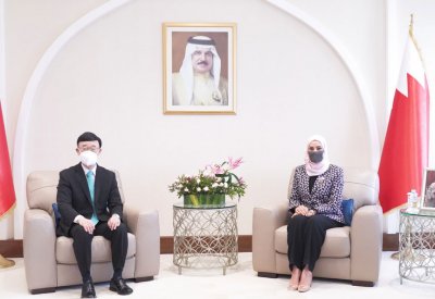 رئيسة مجلس النواب تؤكد أهمية الجهود البرلمانية في تطوير التعاون الاقتصادي
