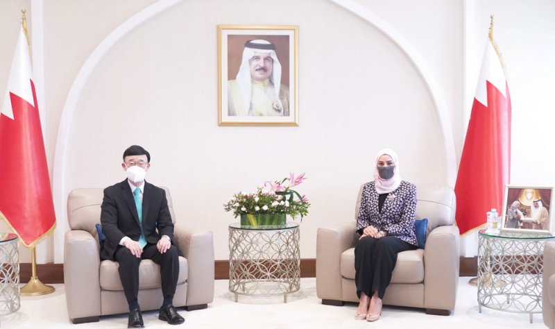 رئيسة مجلس النواب تؤكد أهمية الجهود البرلمانية في تطوير التعاون الاقتصادي