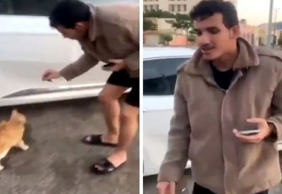 بالفيديو: حرقا وركلا... تعذيب وحشي لقط يثير ضجة في السعودية