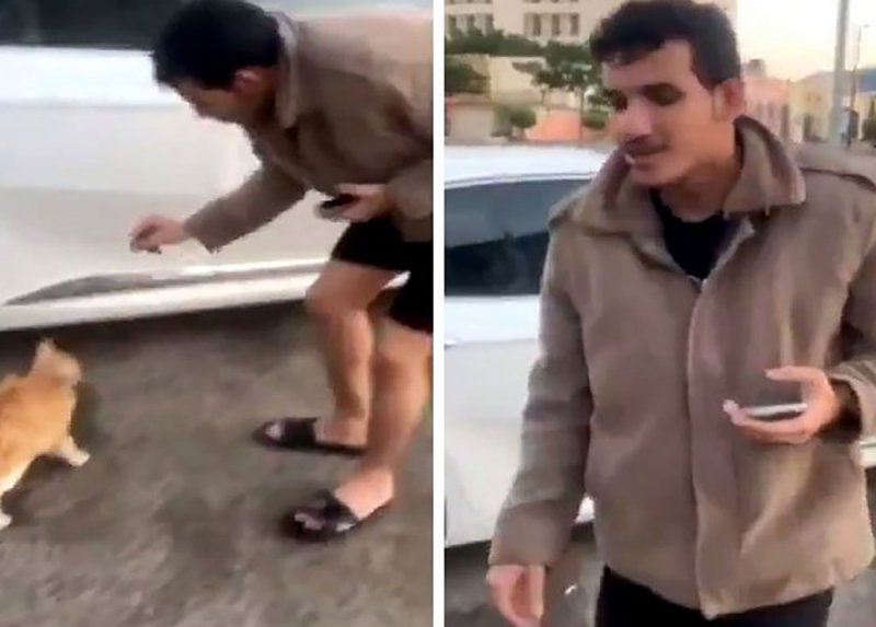 بالفيديو: حرقا وركلا... تعذيب وحشي لقط يثير ضجة في السعودية