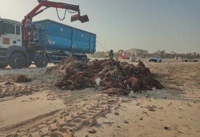 أمانة العاصمة تزيل 10 شحنات يوميا من مخلفات ساحل كرباباد