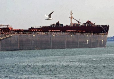 بالعشرات.. كافة السفن المنتظرة في قناة السويس تكمل العبور