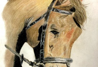 بالصور: 56 طالبًا رسامًا يبدعون في مسابقة "الخيل العربي"