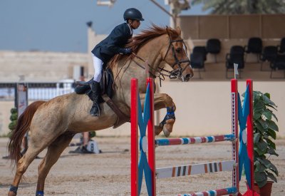 أصغر يحرز كأس المسابقتين الأولى والثانية في فئة الناشئين ببطولة ألبا لقفز الحواجز