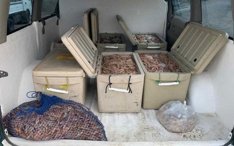 "خفر السواحل": ضبط 435 كيلوجرامًا من الروبيان المحظور صيده في قارب ومركبتين
