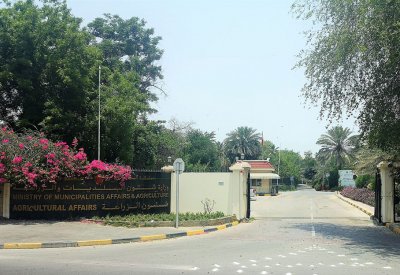 "الزراعة": توزيع مبيدات الآفات الزراعية على المزارعين بأسعار مدعومة