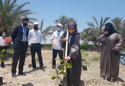 نواة "غابة مصغرة في ساحل بوصبح" قد تتكرر في مختلف مناطق البحرين