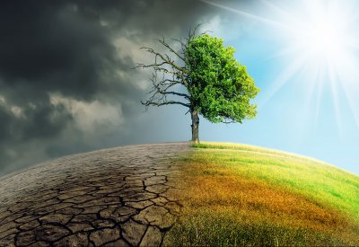 دراسة.. خسائر هائلة للاقتصادي العالمي جراء التغير المناخي