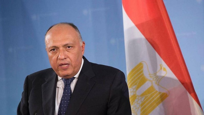 وزير الخارجية المصري: إثيوبيا رفضت بعض الوساطات الإقليمية والدولية